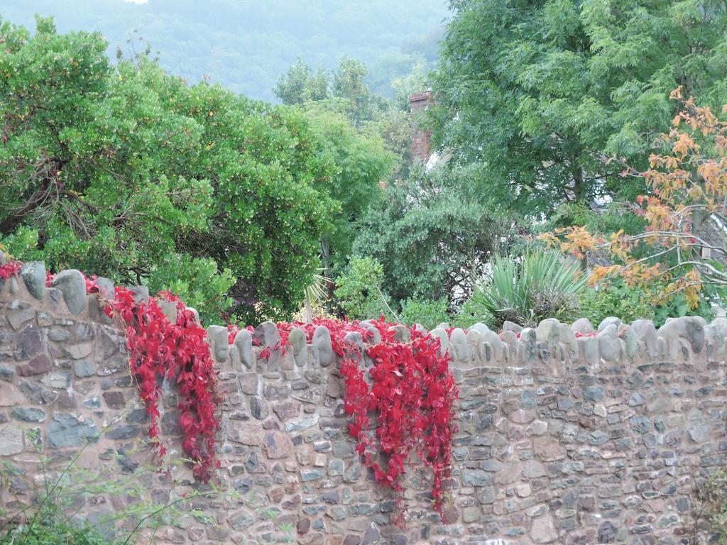 The Gables Bed & Breakfast Porlock Oda fotoğraf