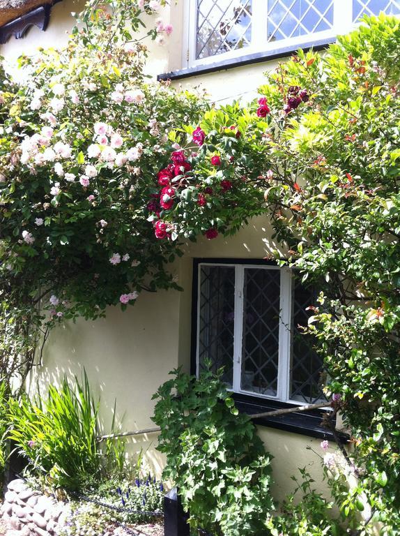 The Gables Bed & Breakfast Porlock Dış mekan fotoğraf